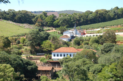 Brazil Fazenda Sertão